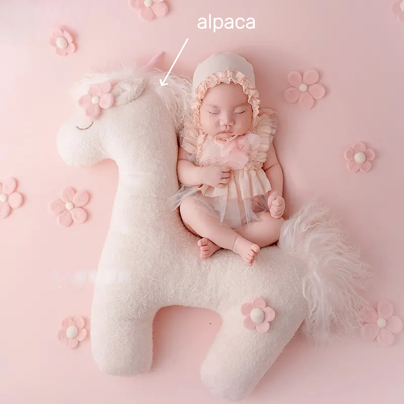 Alpaca
